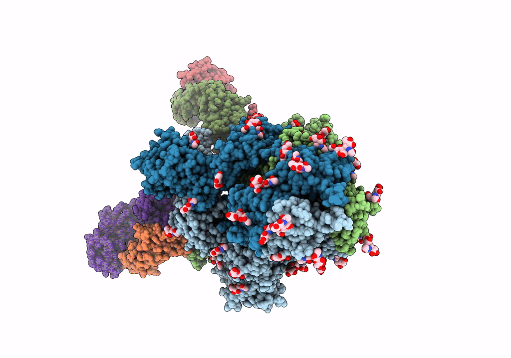 7Q6E image