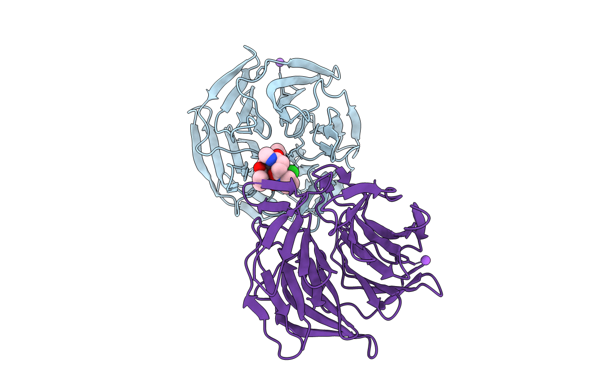7Q6Q image