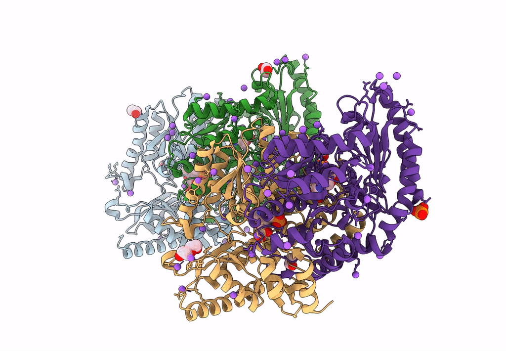 7Q9X image
