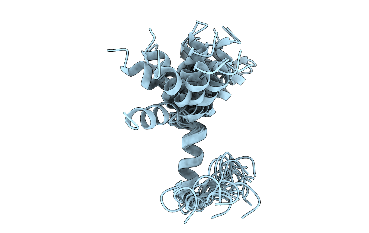 7QAM image