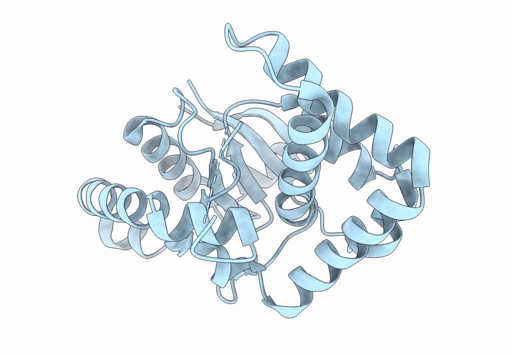 7QAX image