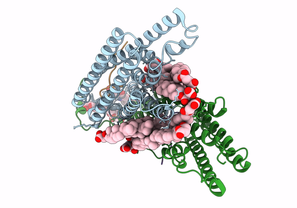 7QBC image