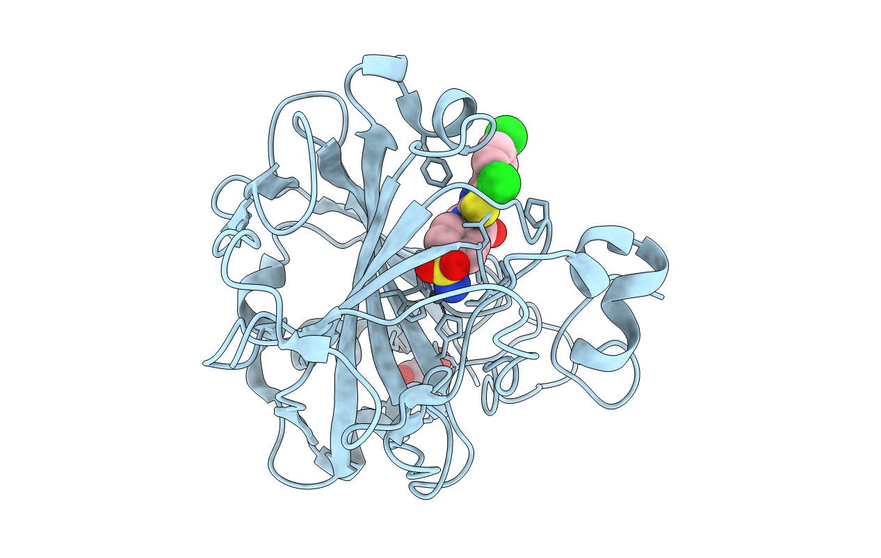 7QGX image