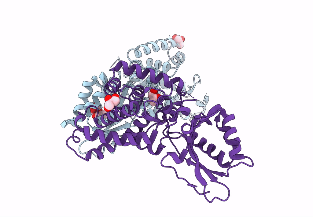 7QH5 image