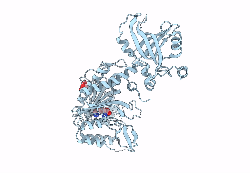7QH8 image