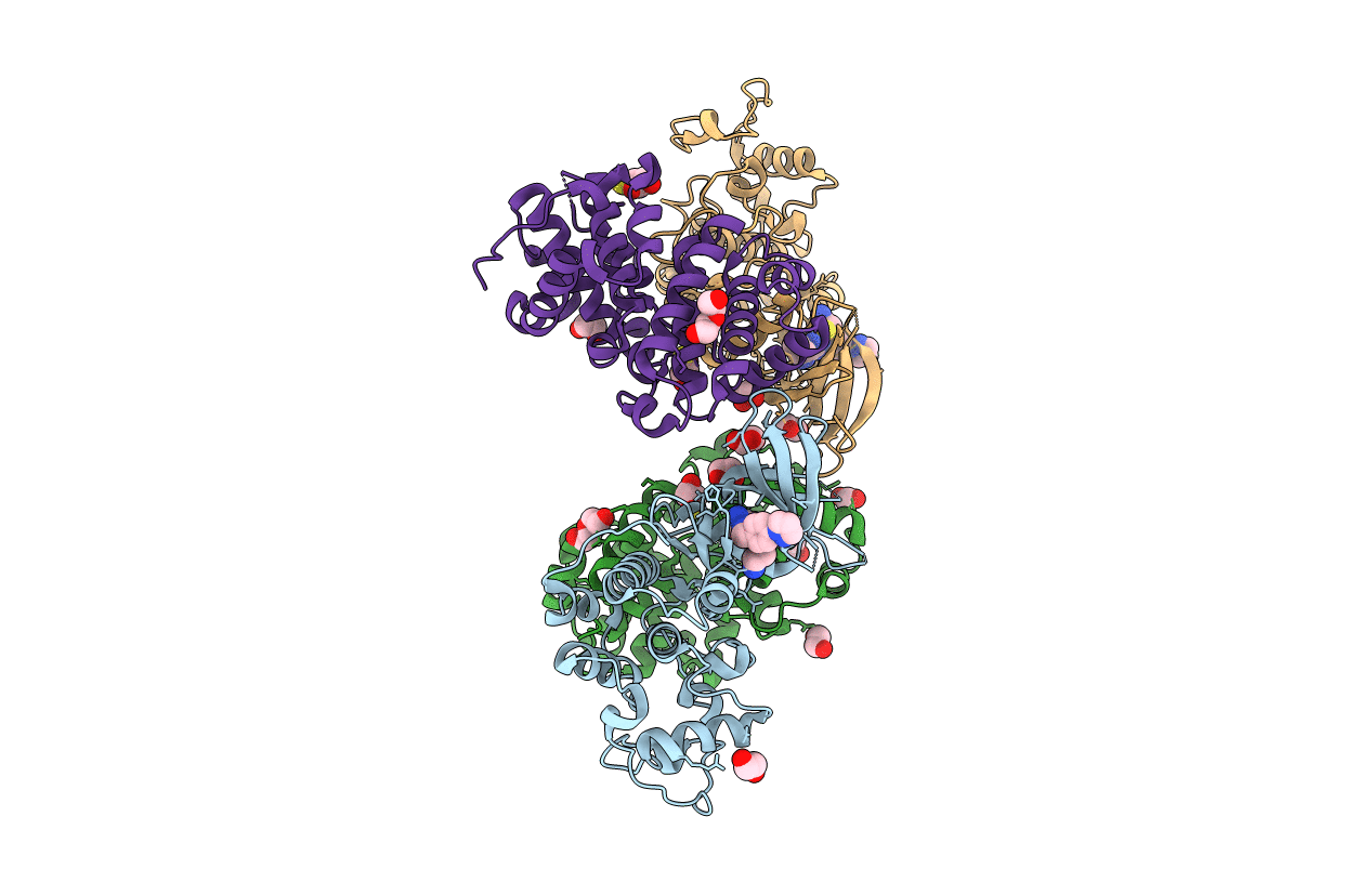 7QHL image