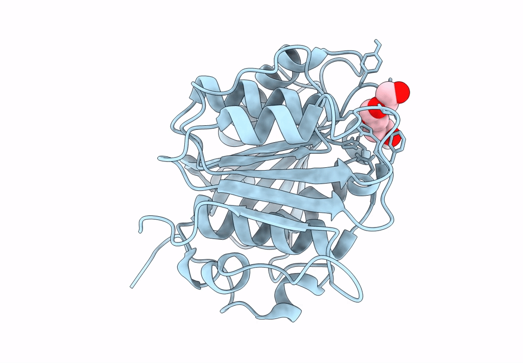 7QJR image