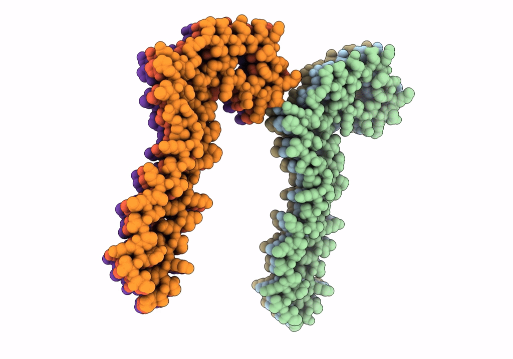 7QK2 image