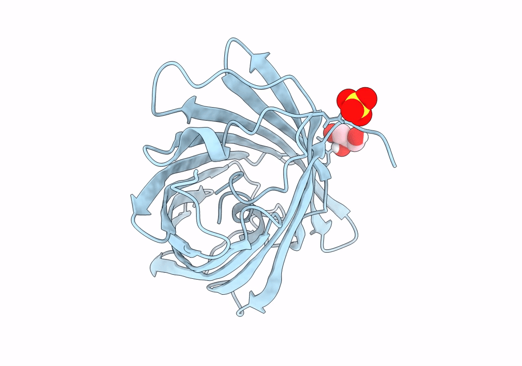 7QLL image