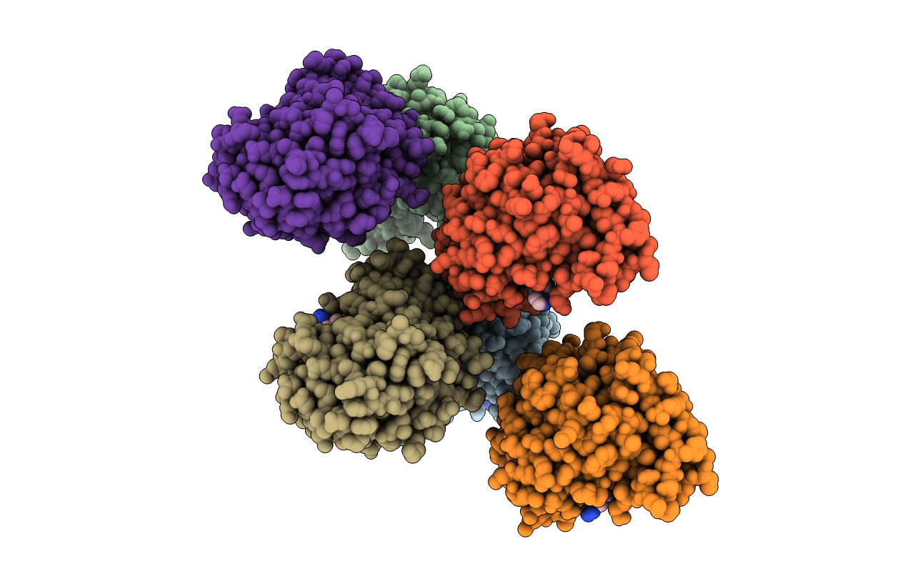 7QLP image