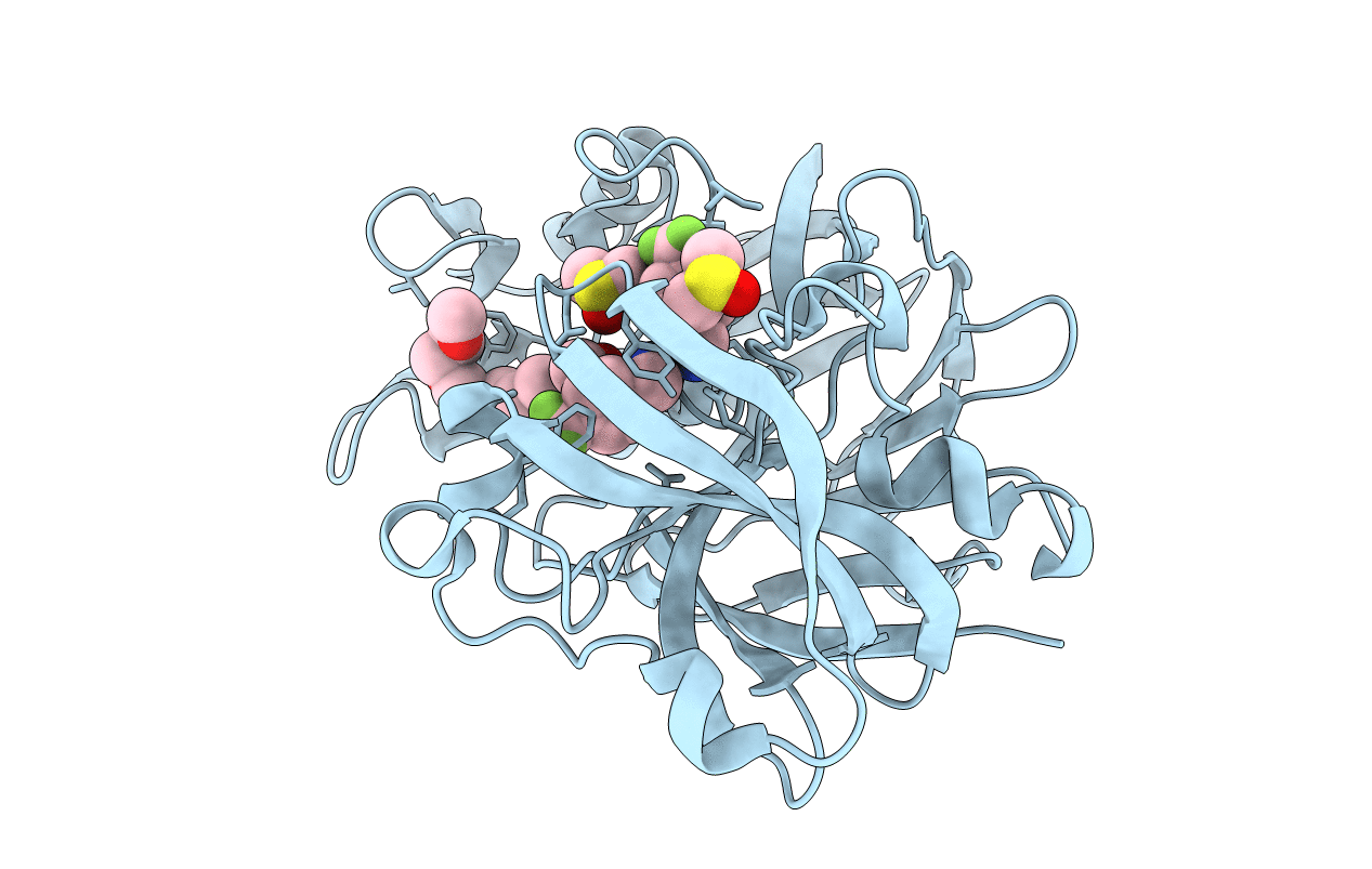 7QML image