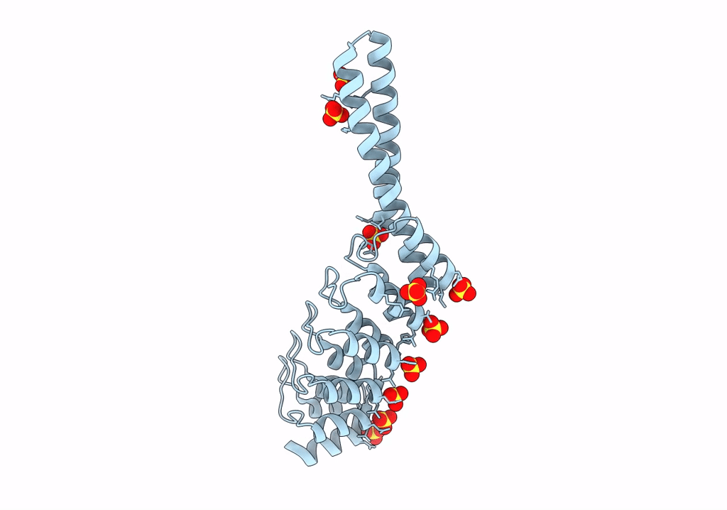7QNL image