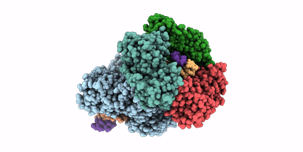 7QNZ image