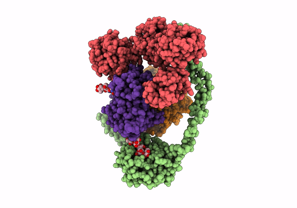 7QPD image
