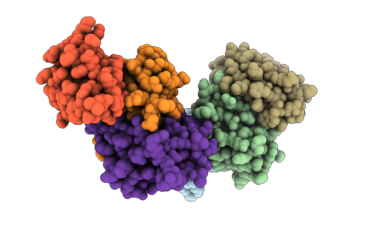 7QPX image