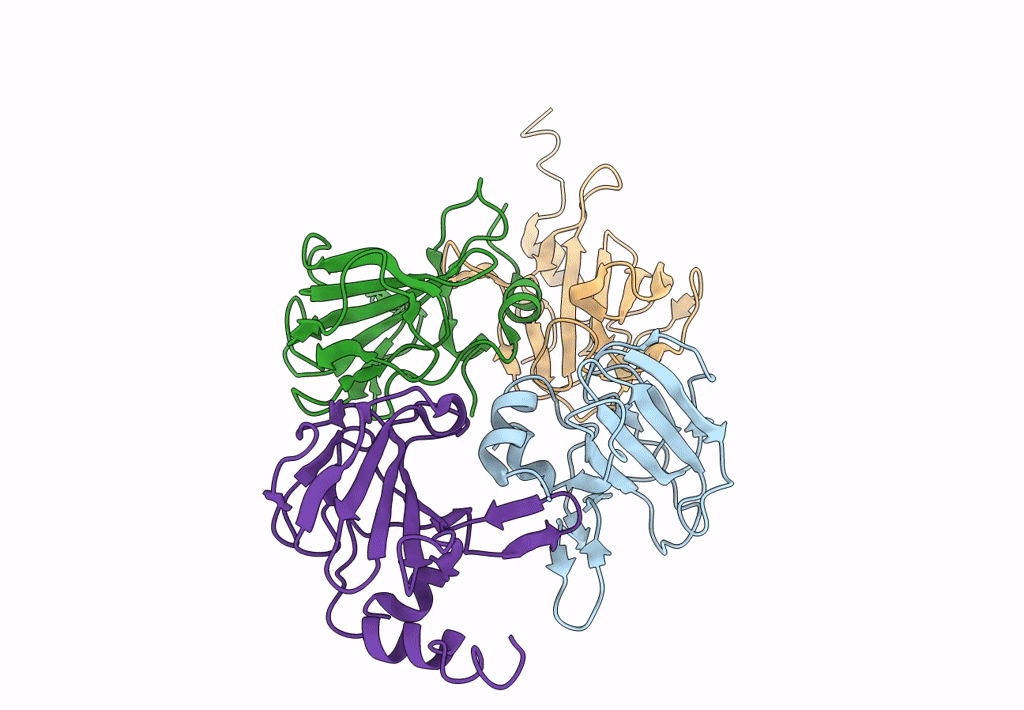 7QRL image