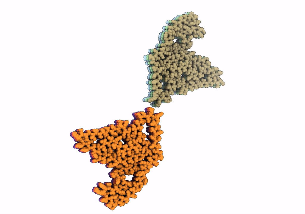 7QVF image