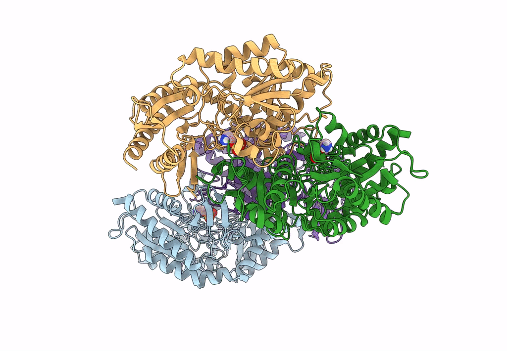 7QX3 image