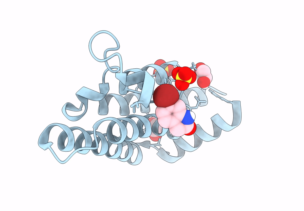 7QXT image