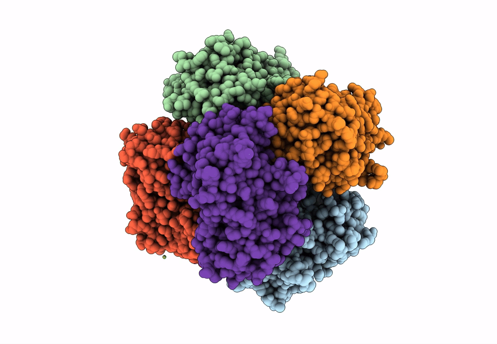 7QZH image