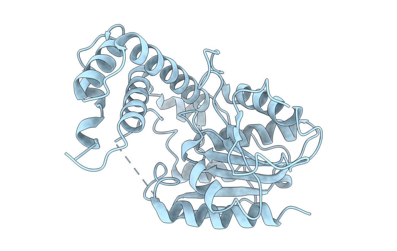 7R0X image