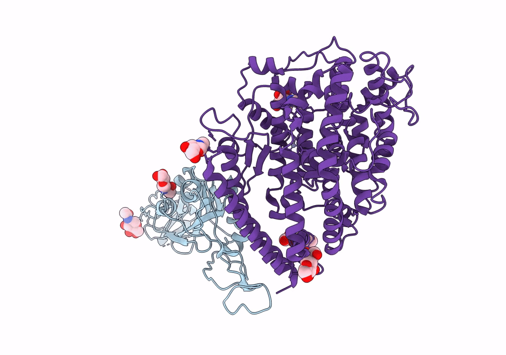 7R12 image