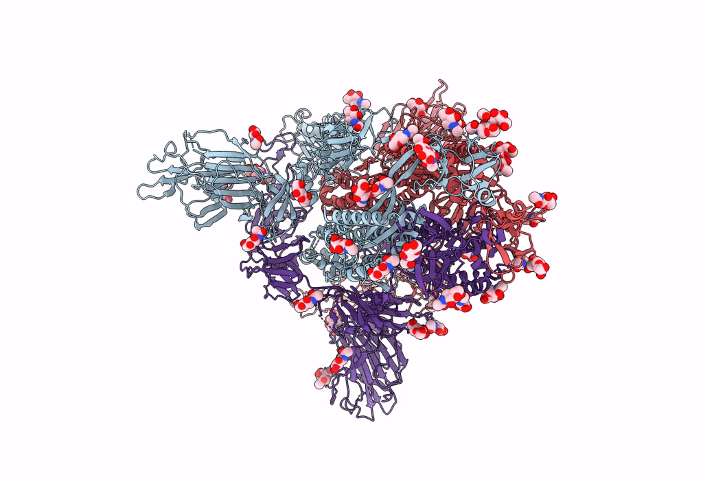 7R19 image