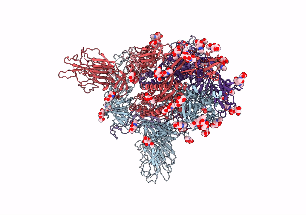 7R1B image