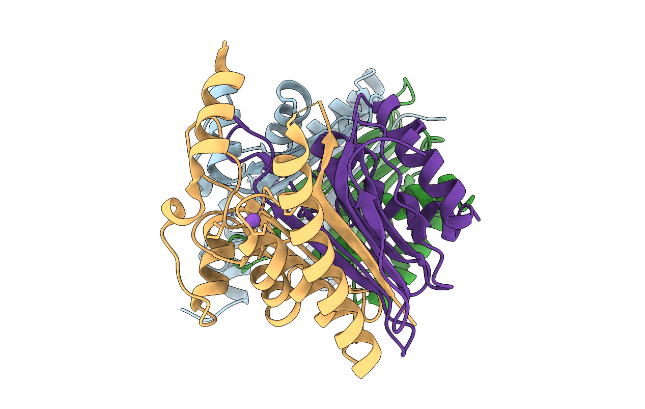 7R1G image