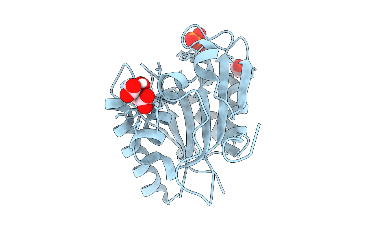 7R25 image