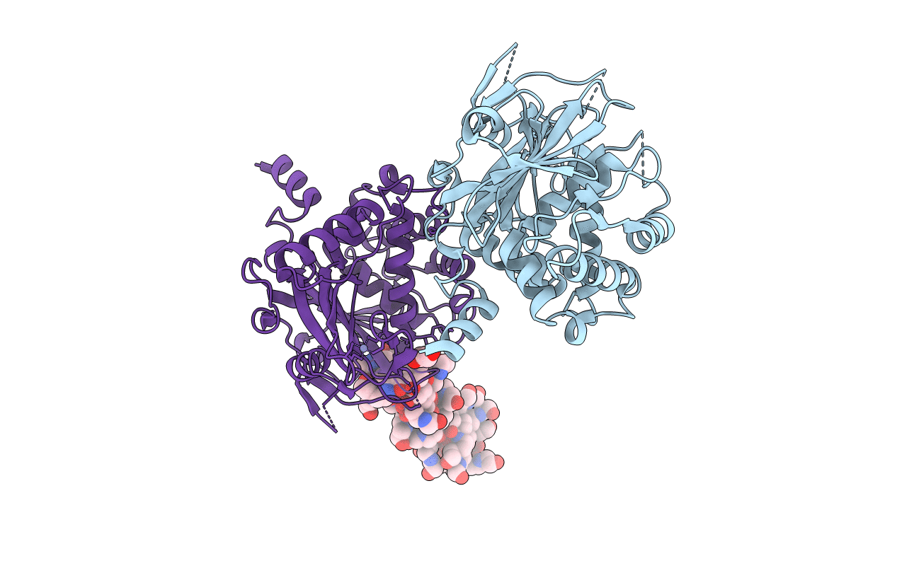 7R2G image