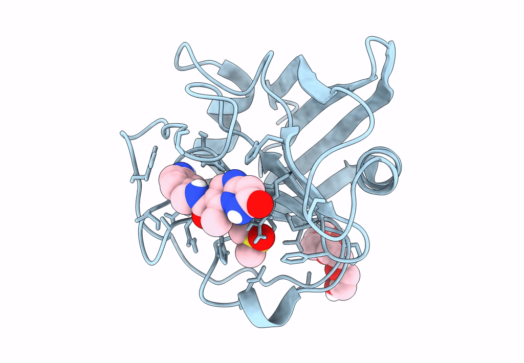 7R2L image
