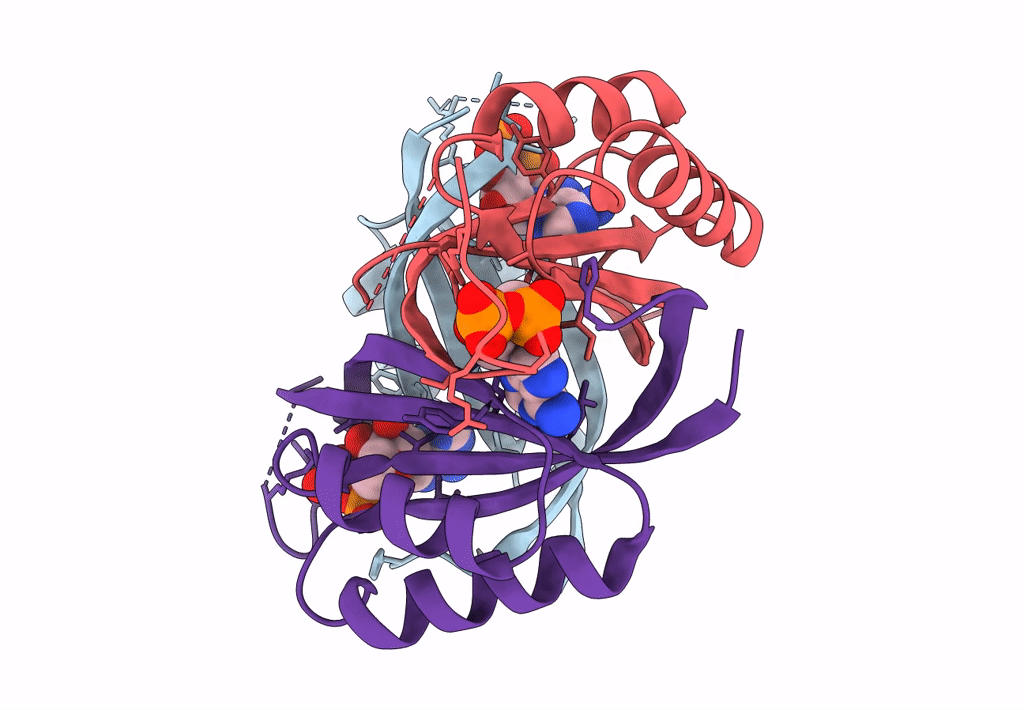 7R32 image