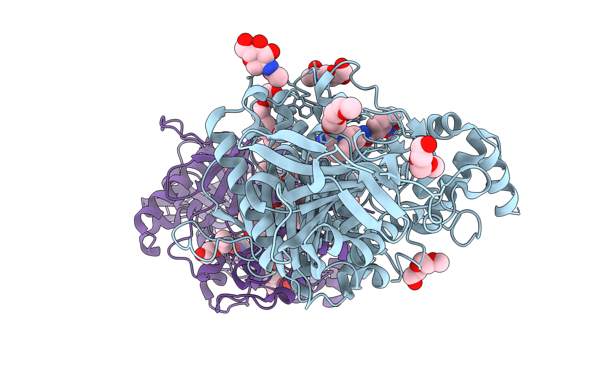 7R3C image