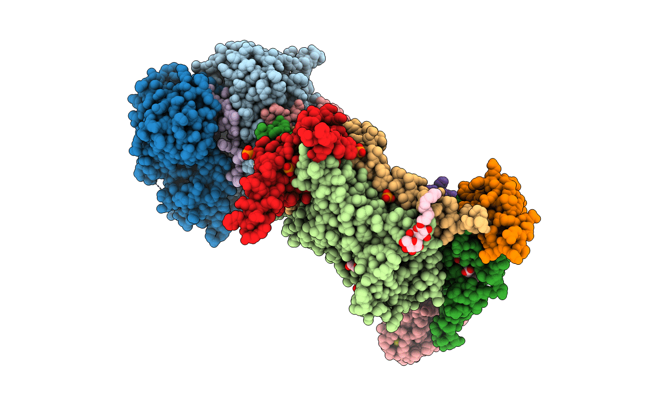 7R3V image
