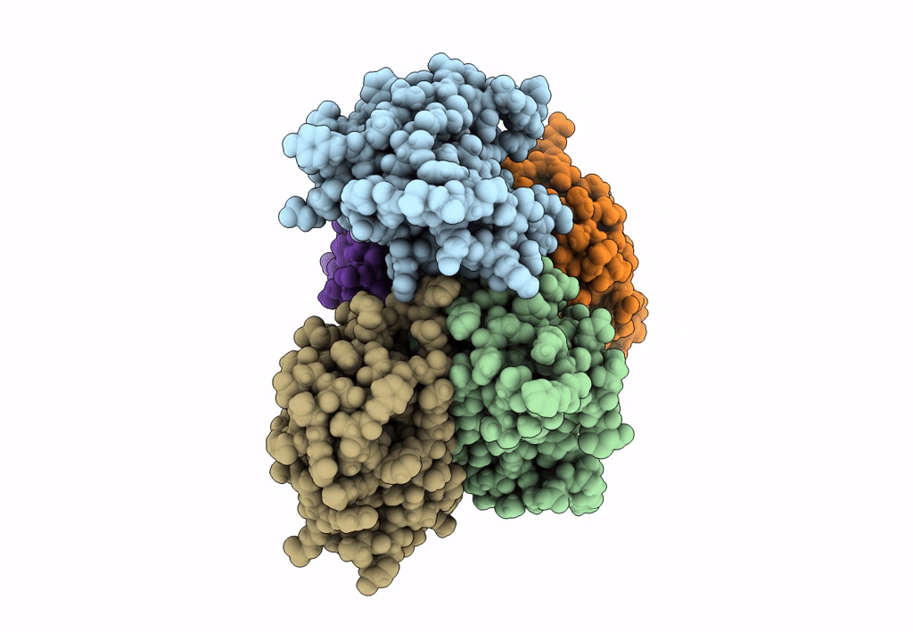 7R4B image