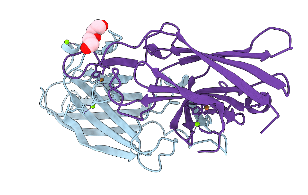 7R5E image