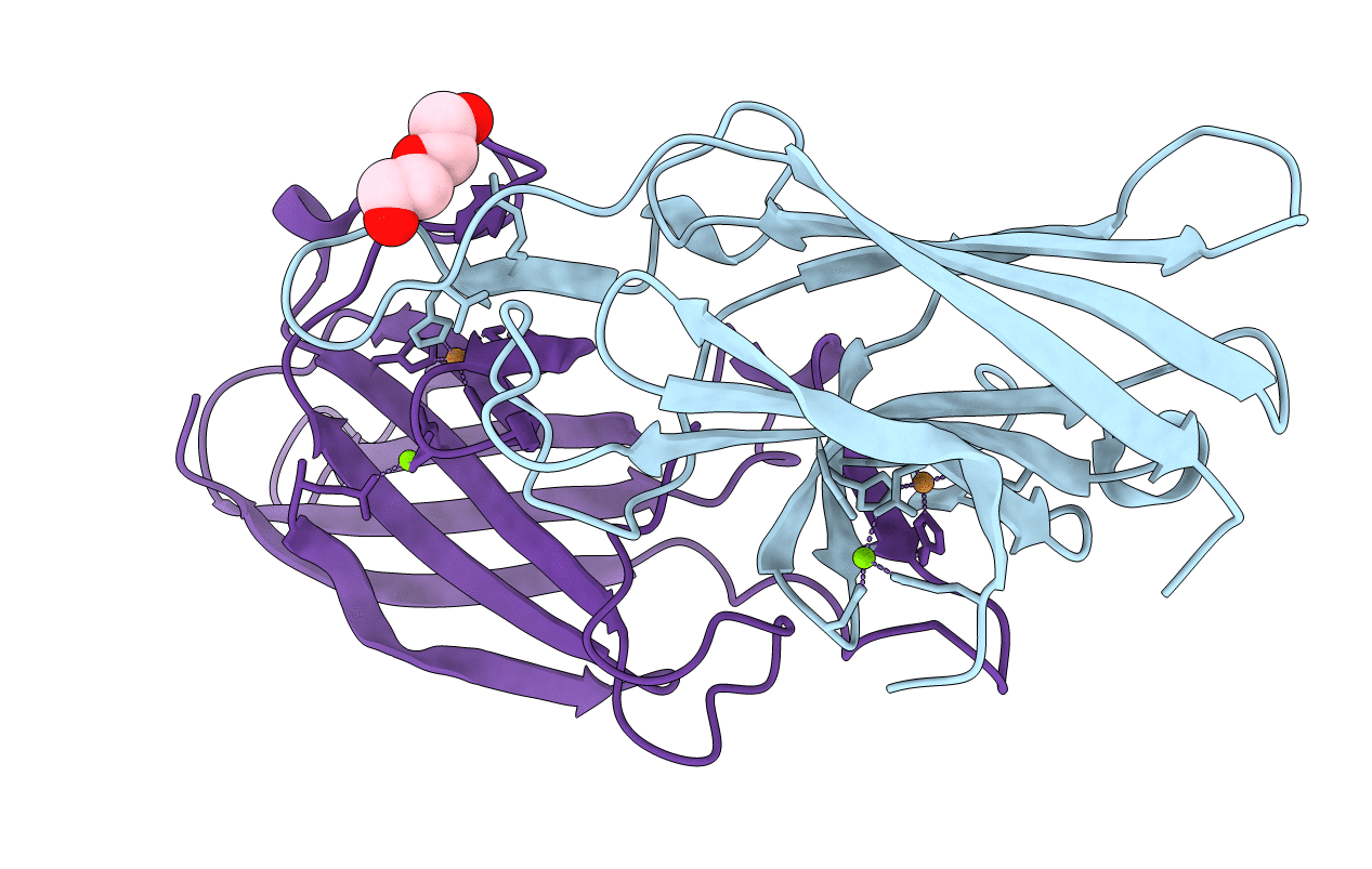 7R5G image