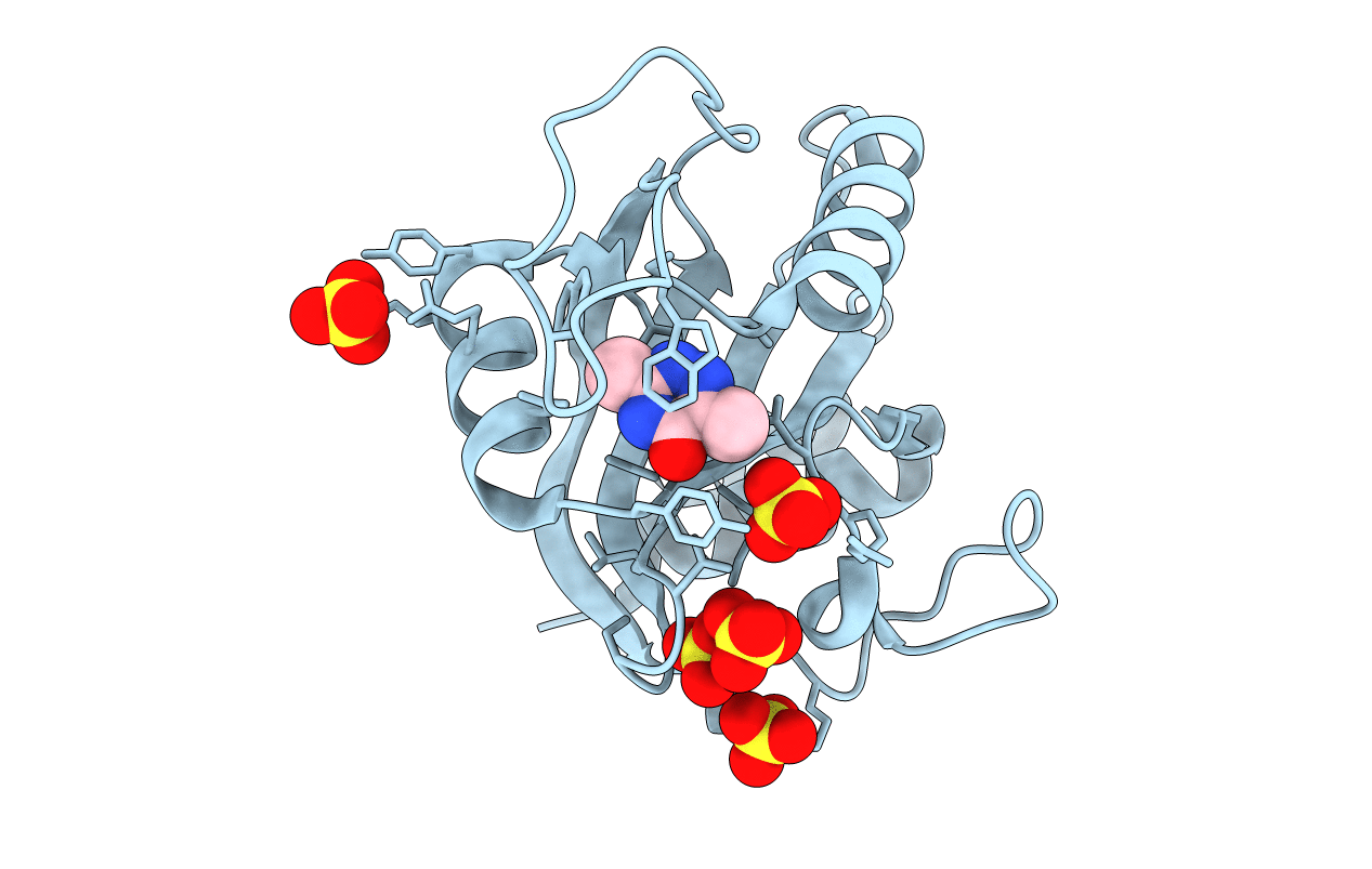 7R5L image