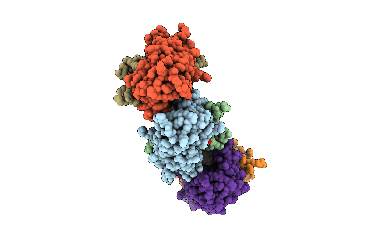 7R5P image