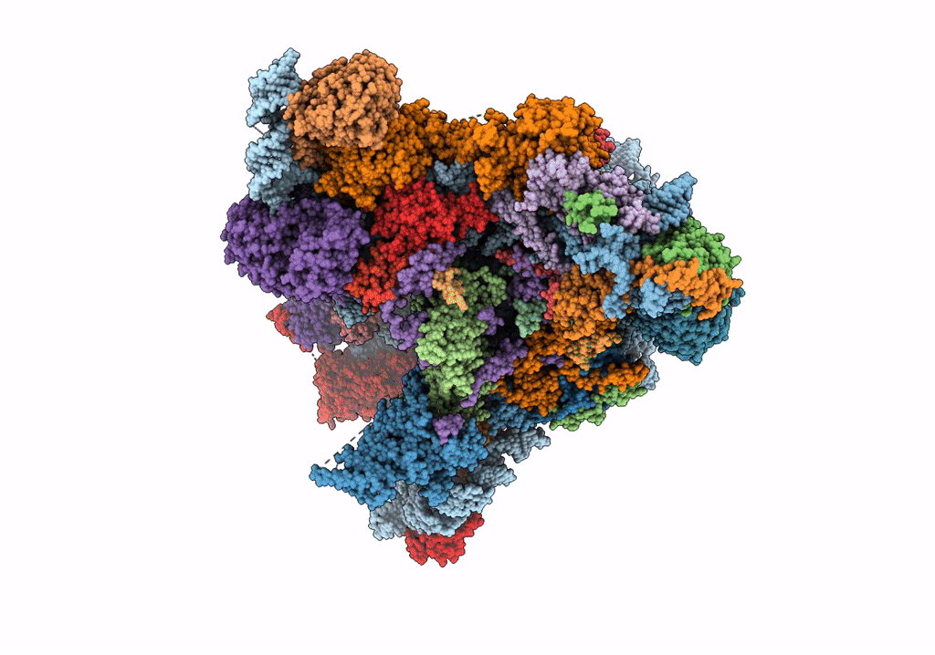 7R7A image