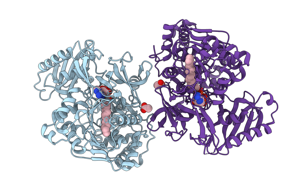 7R7G image