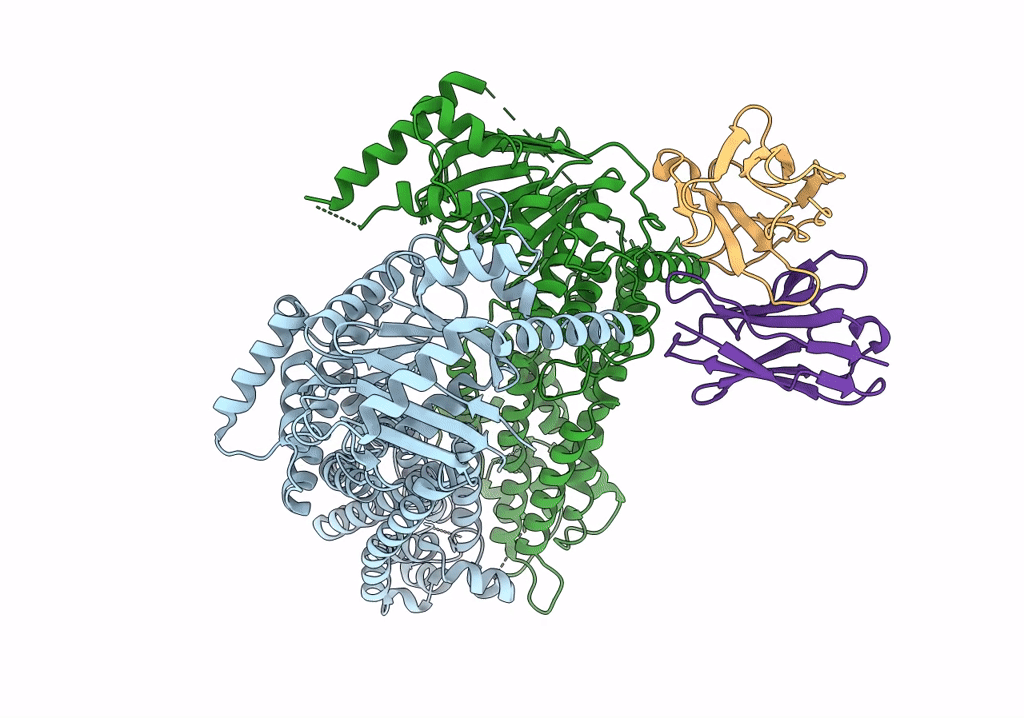 7R87 image