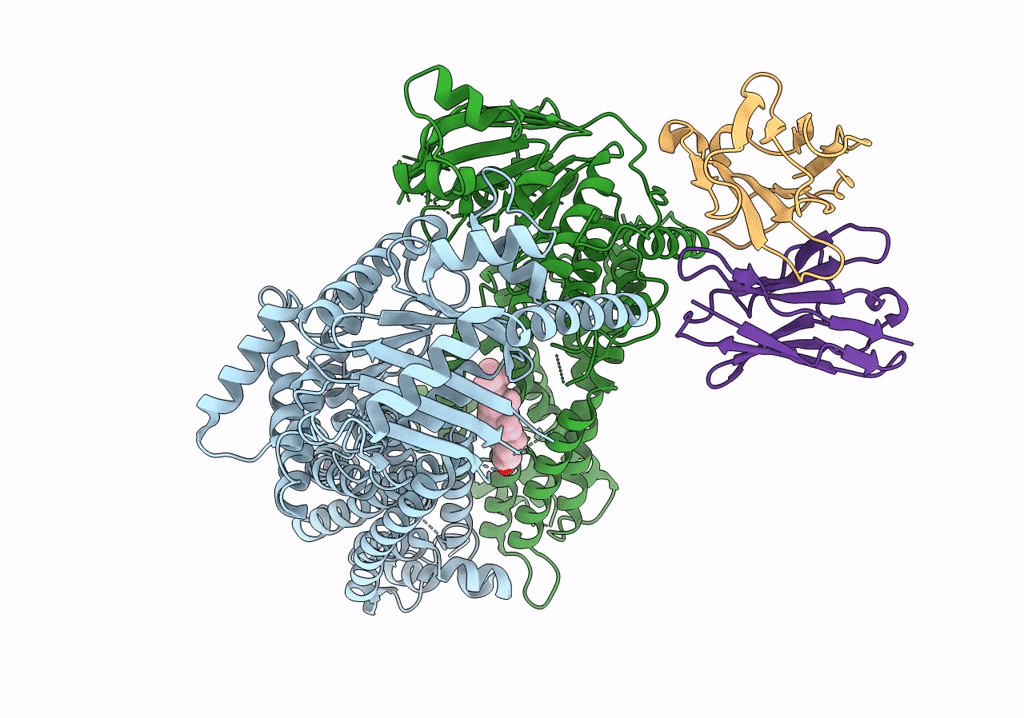 7R89 image
