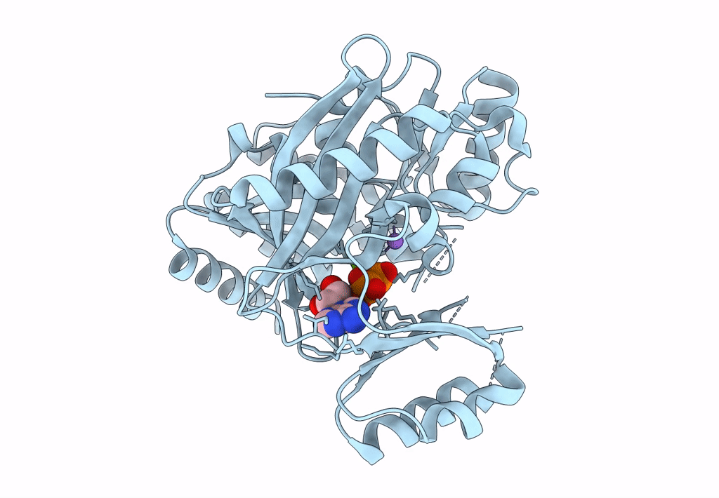 7R8P image