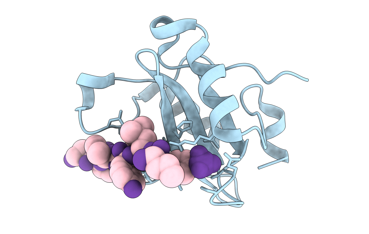 7R8X image