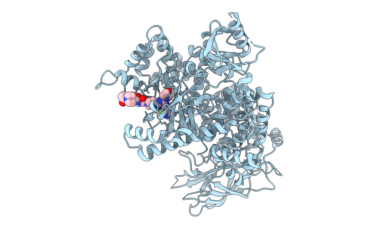 7R9V image