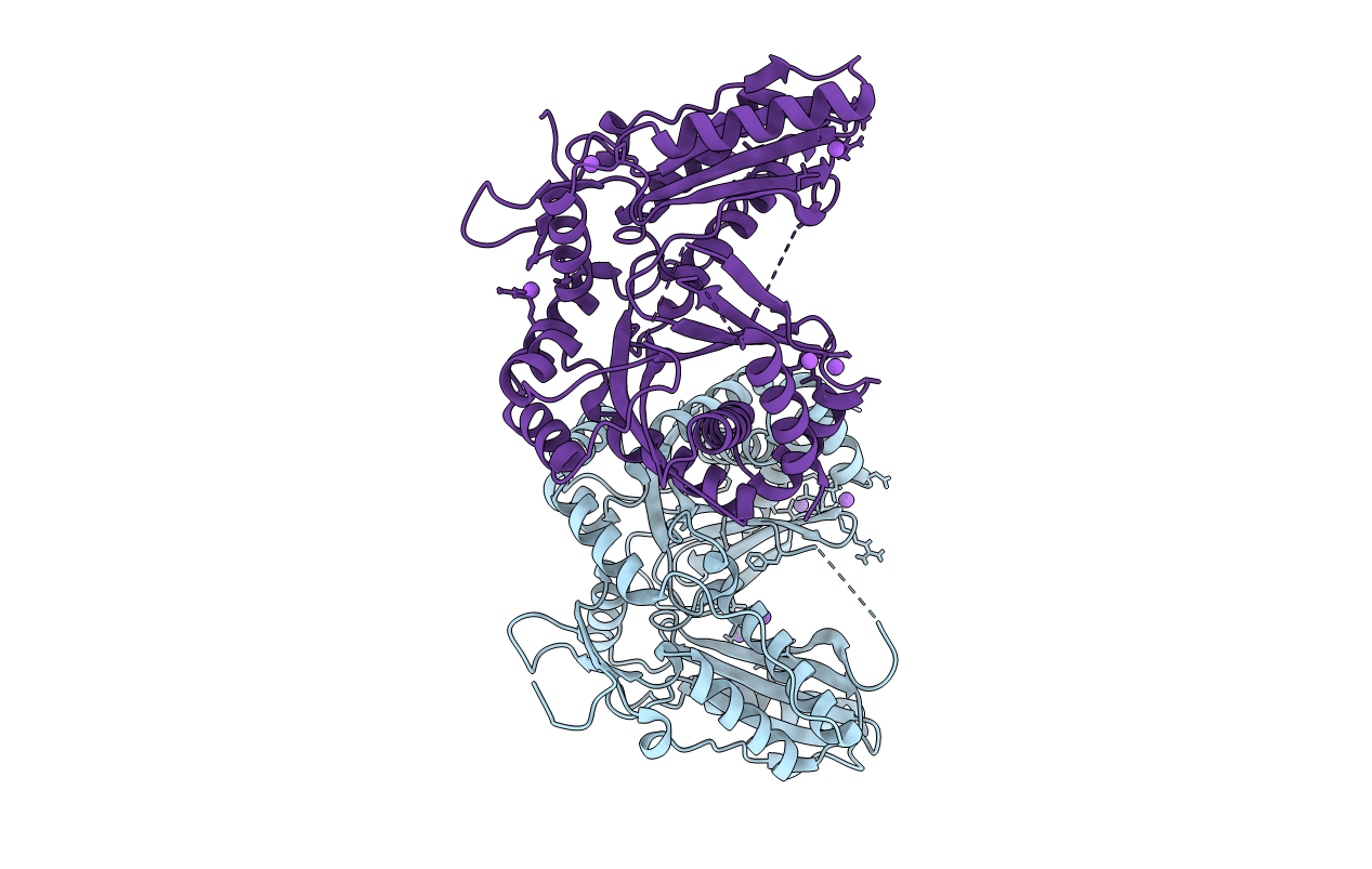7R9X image