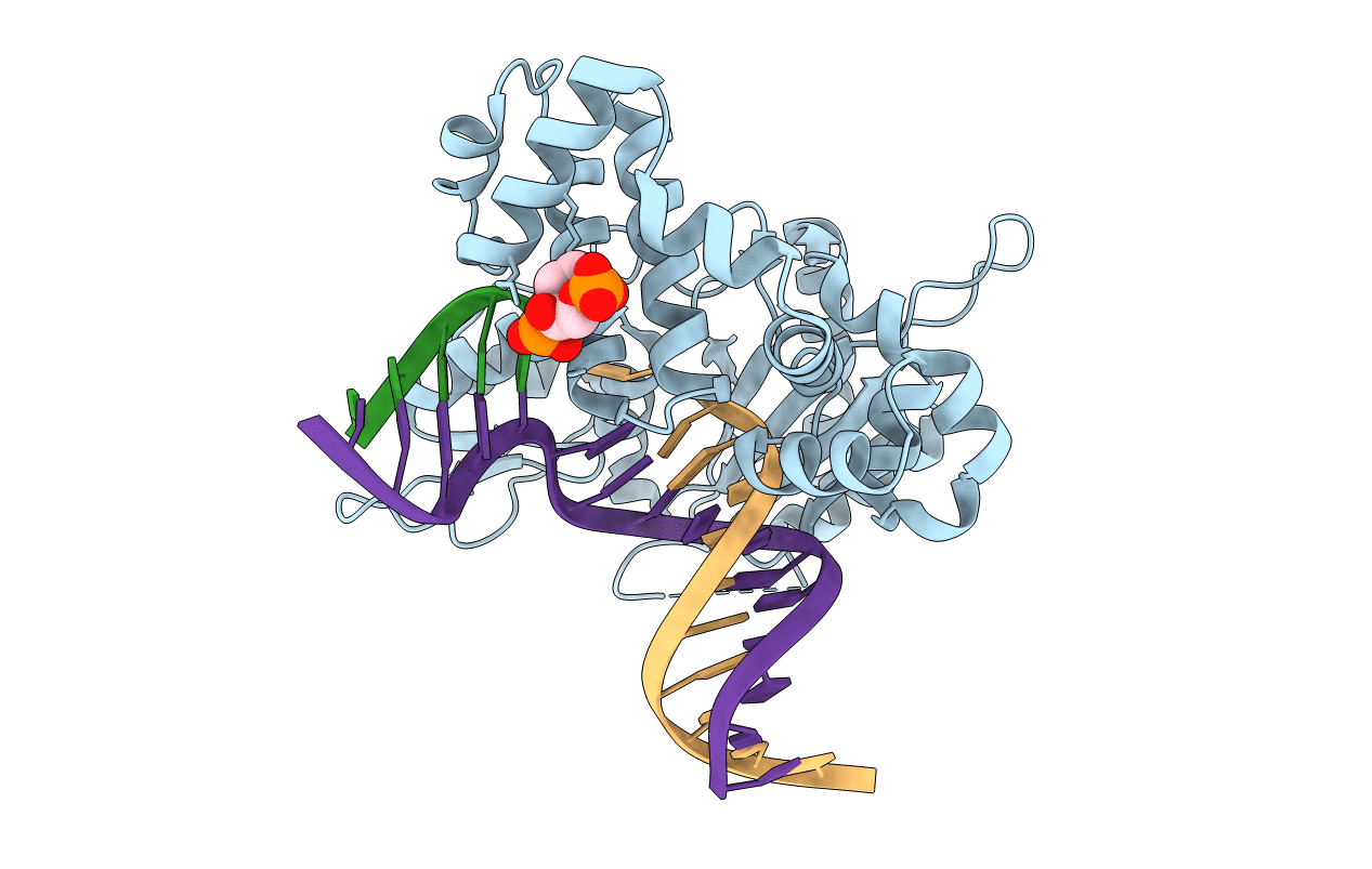 7RBO image