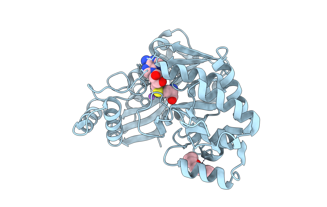 7RC2 image